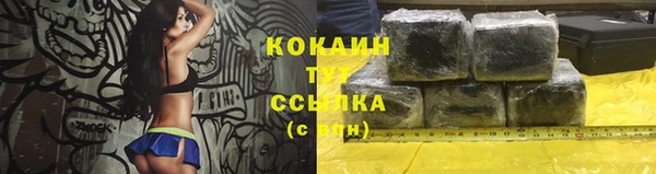 ГАЛЛЮЦИНОГЕННЫЕ ГРИБЫ Балахна