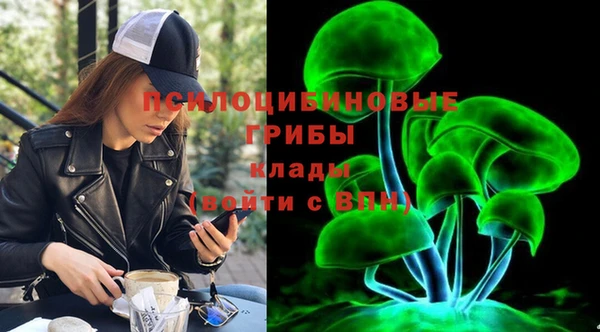 Альфа ПВП Балабаново