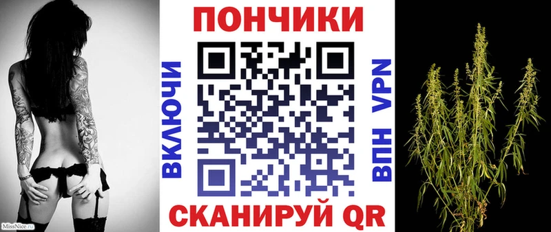 Каннабис семена  Баксан 